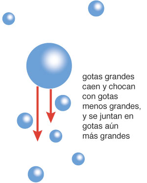 coalescence process