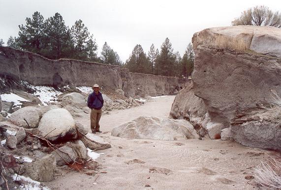 
Gully developed during 1992 flood in Sierra Juarez, Baja California (2002).