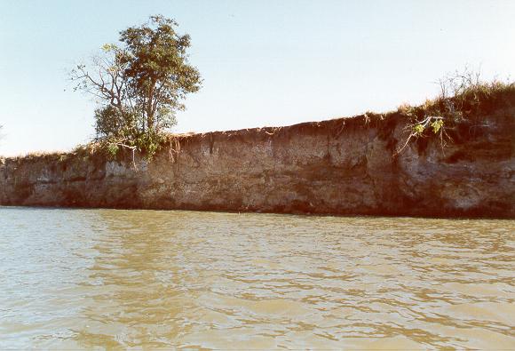 Bank erosion on the banks of the Apa river, Brazil (1992).