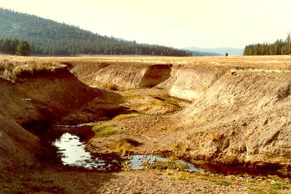 Incised gully at Dotta Canyon, in the Feather river watershed, Northern California (1989).
