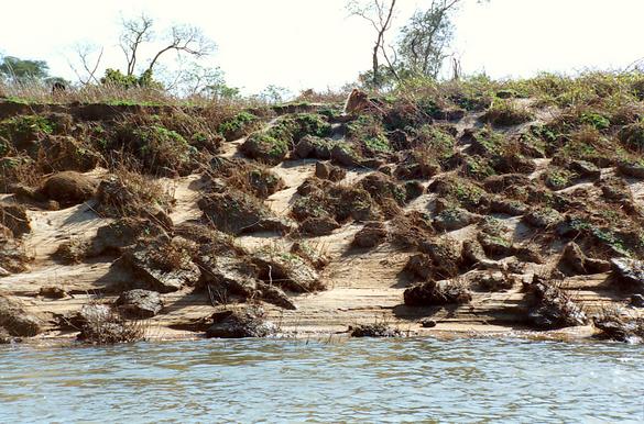 
Bank erosion on the Apa river, on the border between Brazil and Paraguay (1992). 