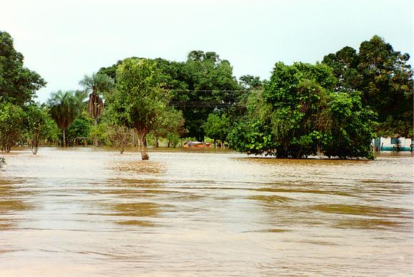 Flood stage on the Rio Cuiaba, Mato Grosso, Brazil, January 15, 1995 