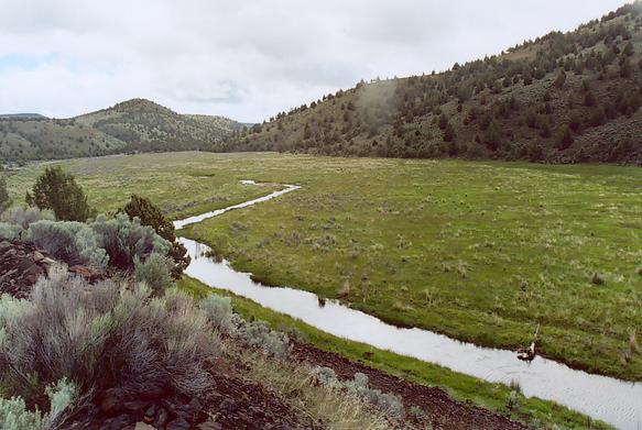 Panoramic view of Old Severance reservoir at Camp Creek, Oregon (2004).