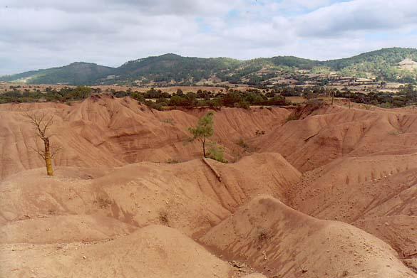 
Accelerated erosion in Santa Cruz Tayata, Oaxaca, Mexico.