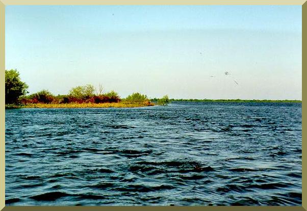 Afluncia do rio de Paraguai com o rio Apa, 
Mato Grosso do Sul