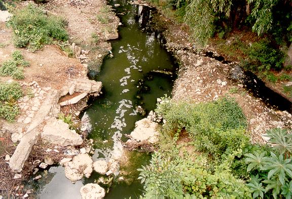 Vista del Ro Tlaxiaco desde el Puente San Pedro