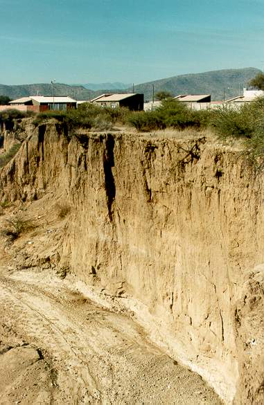 
A large human-induced gully near Tarija, Bolivia (1996).