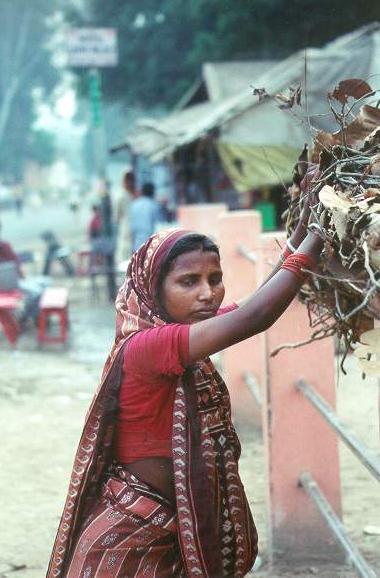 A woman temporarily resting her daily load of firewood in a street of Bihar, India.