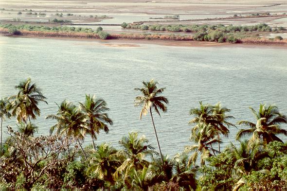 Estuary of the Mondavi river, near  Panjim, Goa, India (1992). 