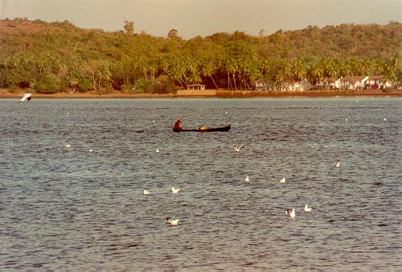 The Mondavi river, near Panjim, Goa, India (1992).