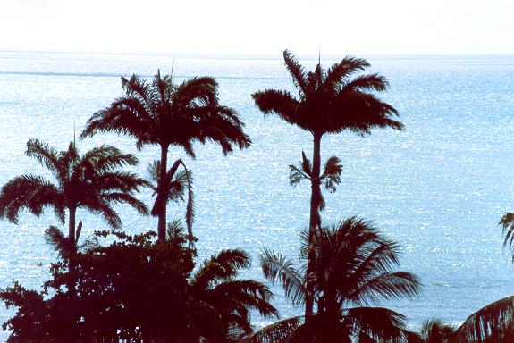 View of the Atlantic Ocean at Olinda, Pernambuco, Brazil.
