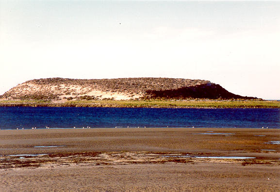 Island of the Birds, near the Valdez Peninsula, Chubut, Argentina (1991).