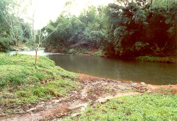 Rio Aquidaban, in Northeastern Paraguay (1992).  