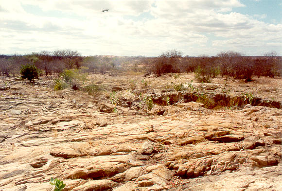 Riacho Feiticeiro, in the backlands of Ceara, Northeastern Brazil (1993).