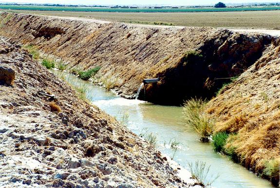 Agricultural drains in the Imperial Valley, California (1997).