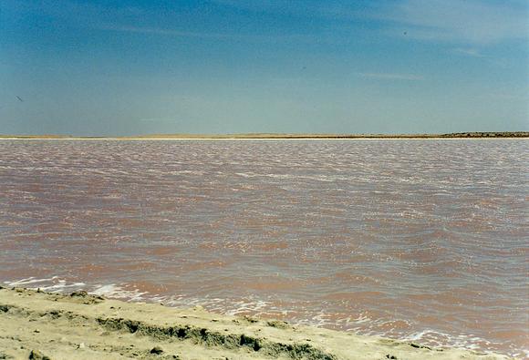 Coastal saline flats at Guerrero Negro, Baja California Sur, Mexico (1998).