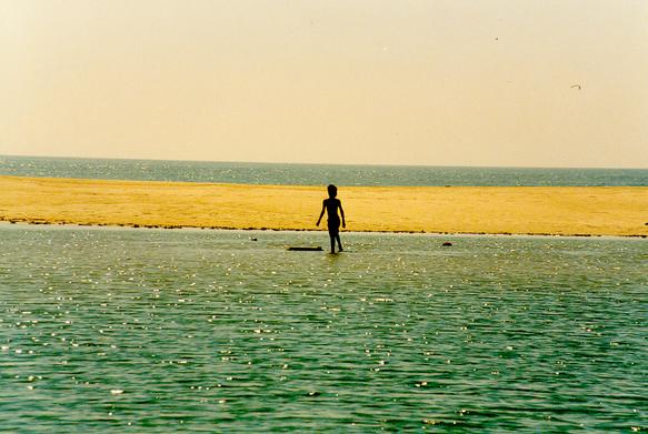 Mouth of Manialtepec Lagoon to the Pacific Ocean, Oaxaca, Mexico (1999).